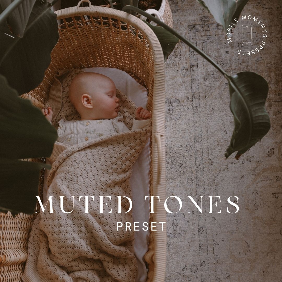 MUTED TONES | PRESET