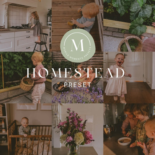 HOMESTEAD | PRESET